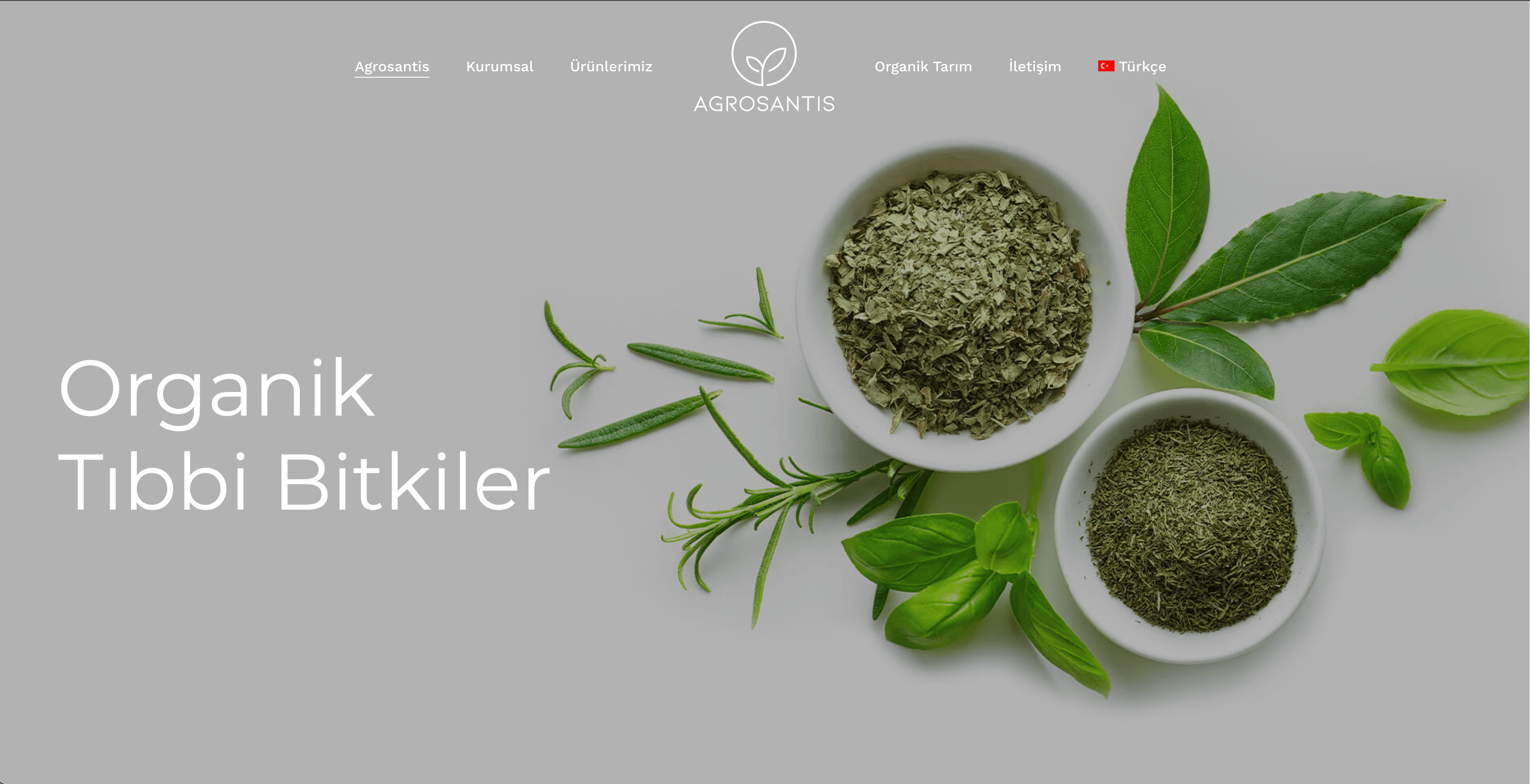 Tarım ve Gıda Web Sitesi — Agrosantis